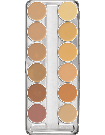 Dermacolor Camouflage Palette (12)